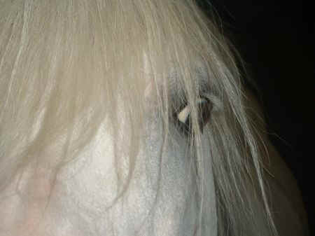 � Saunam�kin sein�lt�